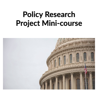 Government policy project mini-coursethe law mini-course product image