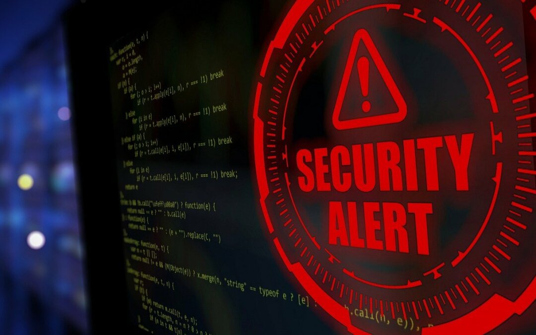 Searching for Security in a Risky World